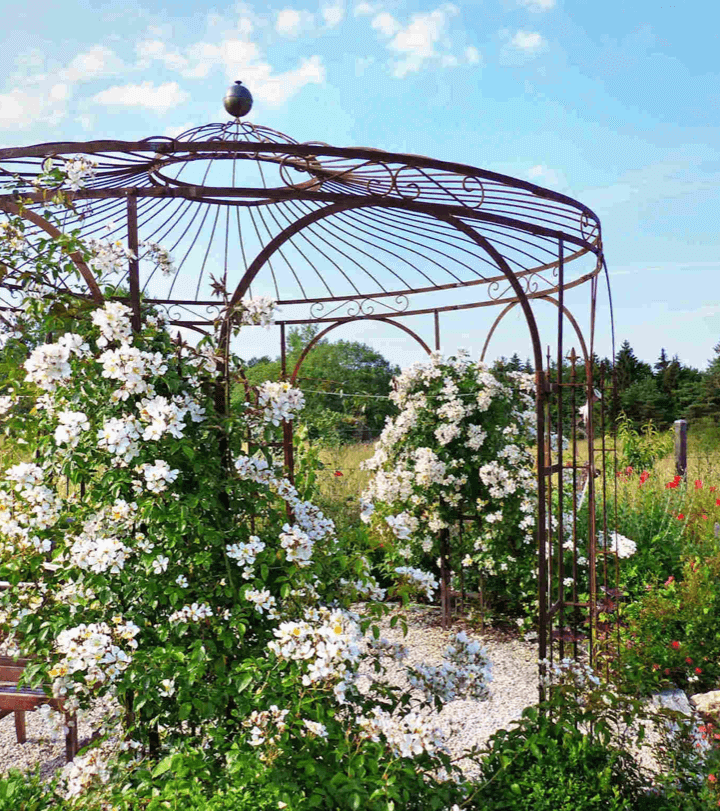 Gartenpavillon in unbeschichtet mit schoenen Blumen bewachsen