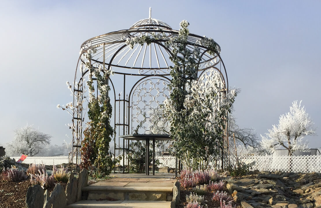 ELEO Pavillon Milano unbeschichtet Edelrost mit winterharten Kletterpflanzen berankt